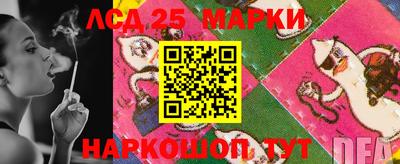 стаф Нальчик