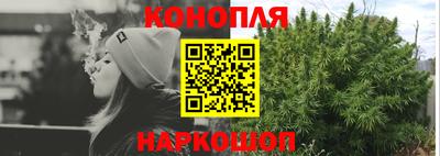 стаф Нальчик