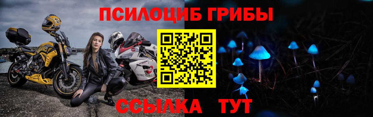 Галлюциногенные грибы мухоморы  Галлюциногенные грибы ЛСД  Вход с VPN  Электрогорск 